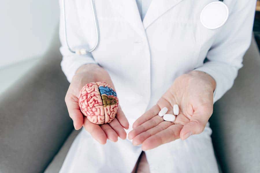 Cropped view of doctor holding model of brain and pills